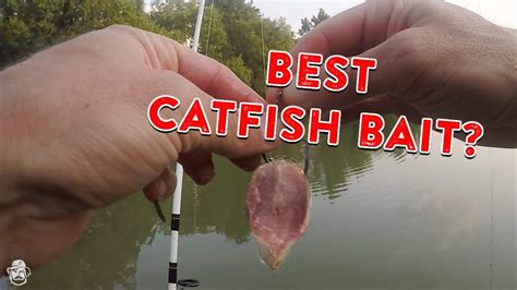 Witchcraft bait for catfish